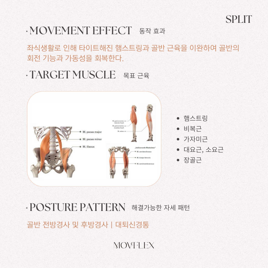 8920e2deb55fa3b76d8ce810c2321dcc_1728530040_0003.png 8920e2deb55fa3b76d8ce810c2321dcc_1728530040_0003.png